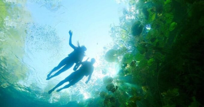 Xenotes Oasis Maya Tour - Personalized Guidance From Experts