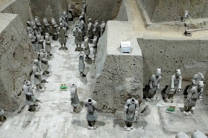 Xian Boutique Tour: Terracotta Army and Cave Dwellings - Reviews and Feedback