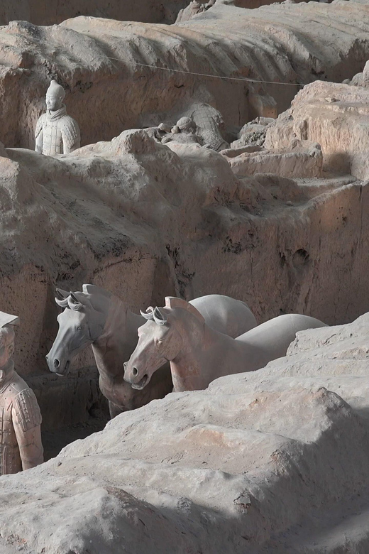 Xian Day Tour to Terracotta Army, City Wall, Pagoda - Key Points