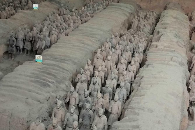 Xian Discovery of Qin and Han Dynasties Review - Customer Reviews