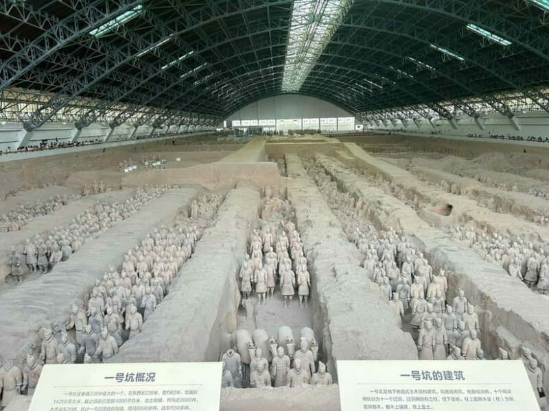 Xi'an Exclusive Terracotta Army Tour with Local Family Lunch - What to Expect from This Tour