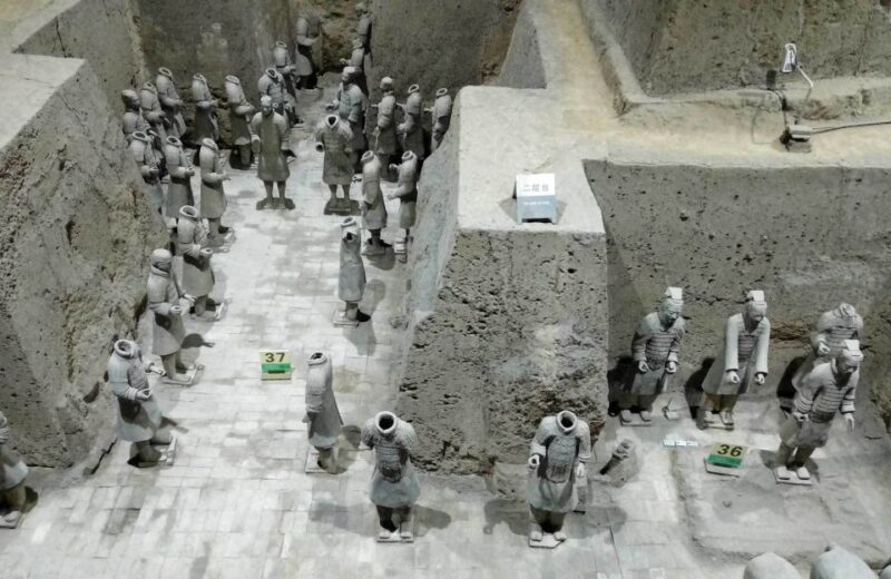 Xian: Half-Day Terracotta Warriors & Horses Museum Tour - Participant Information