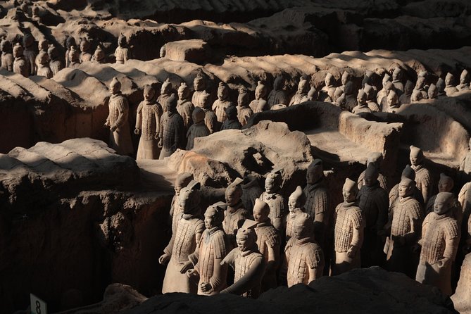 Xian Private Tour: Terracotta Warriors With Qin Culture-Themed Cuisine - Health and Accessibility Information