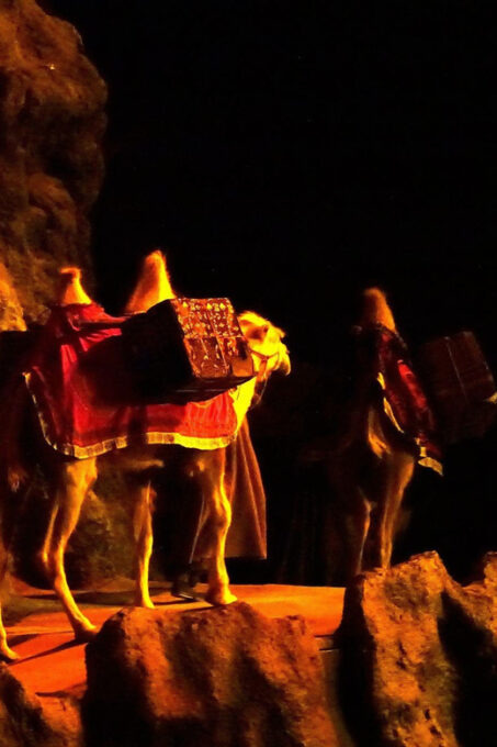 Xian Silk Road: Legend of Camel Bell Show Seat W/Transfer - Ticket Information