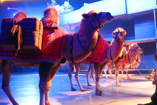 Xian Silk Road: Legend of Camel Bell Show Ticket With Transfer - Key Points