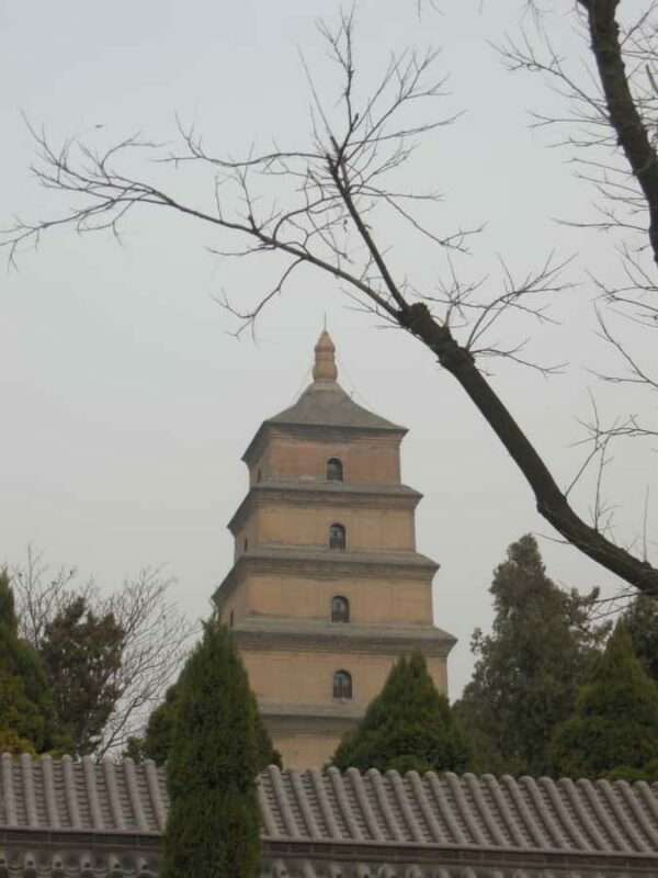 Xi'an: Terra-Cotta Warriors Entry with Optional Guide - A Deep Dive into the Experience
