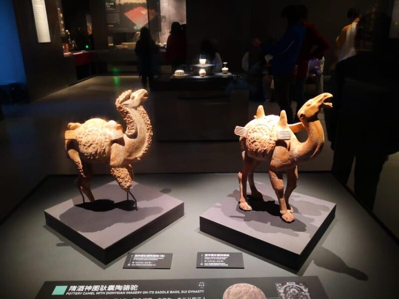 XiAn: Terracotta Army and Shaanxi Archaeology Museum Tour - Terracotta Army Museum