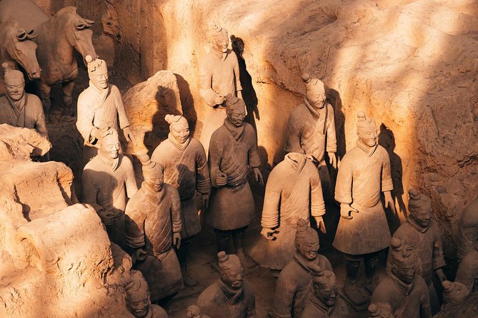 Xian Terracotta Warriors & and Horses Highlight Day Tour - Inclusions and Exclusions