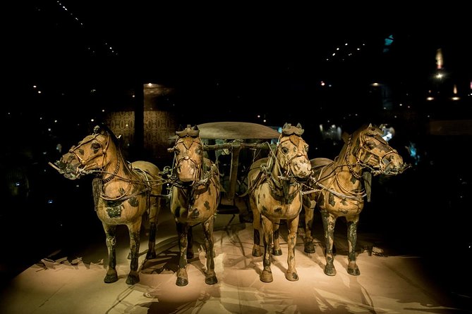 Xian Terracotta Warriors & and Horses Highlight Day Tour - Additional Information for Travelers