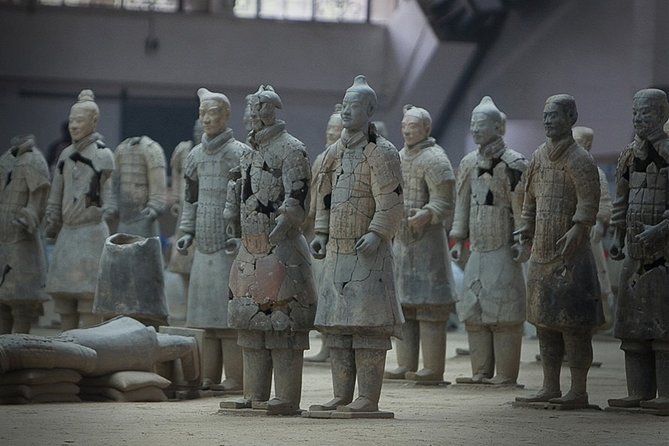 Xian Terracotta Warriors Private Tour Review - Customer Feedback and Ratings