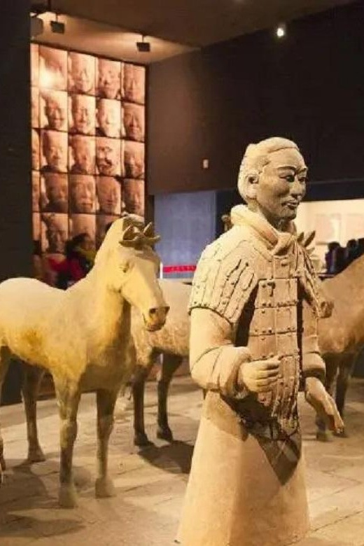 Xian Warriors With Ticket Private Self-Guided Tour by Car - Itinerary and Experience