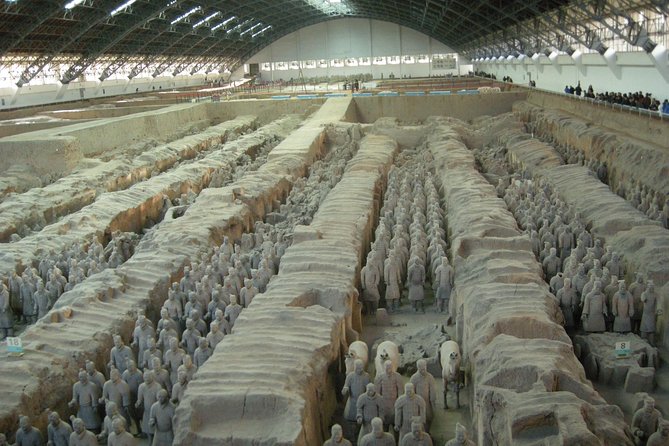 Xian Xianyang Airport (XIY) Pick up and Terracotta Warriors Museum Day Tour - Pickup Information