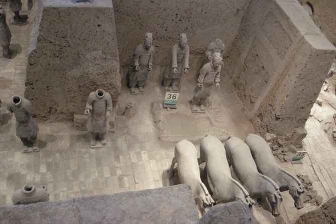 Xian Xianyang Airport (XIY) Pick up and Terracotta Warriors Museum Day Tour - Booking Details