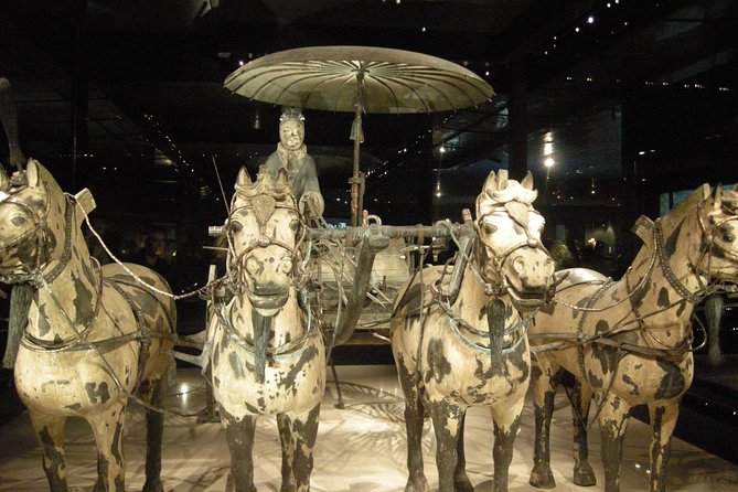 Xian Xianyang Airport (XIY) Pick up and Terracotta Warriors Museum Day Tour - Highlights of the Tour