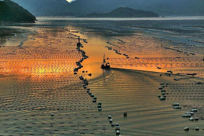 Xiapu Mudflat Photography Day Tour in Fujian - Cancellation and Payment