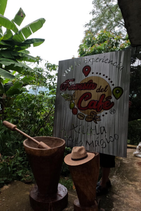 Xilitla : Coffee Journey Tour (Includes Tasting) - Frequently Asked Questions