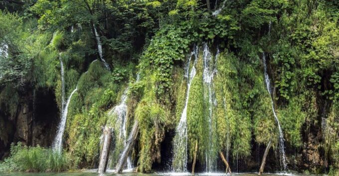 Xilitla: Turquoise Route to El Salto and El Meco Waterfalls - Booking Flexibility