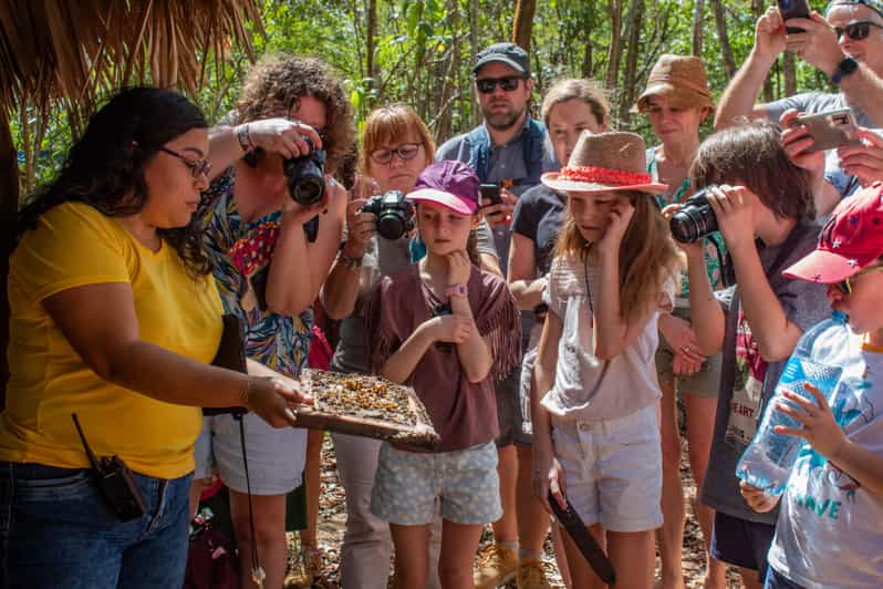 Xkopek Day Pass, Bee Tour and Pool - Key Points