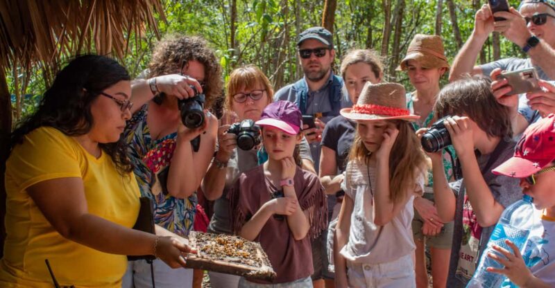 Xkopek Day Pass, Bee Tour and Pool - What to Bring and Restrictions