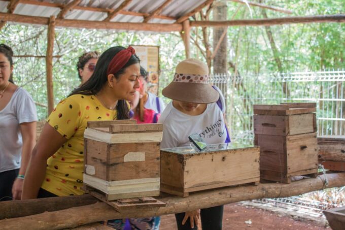 Xkopek Day Pass, Bee Tour and Pool - Suitability and Accessibility