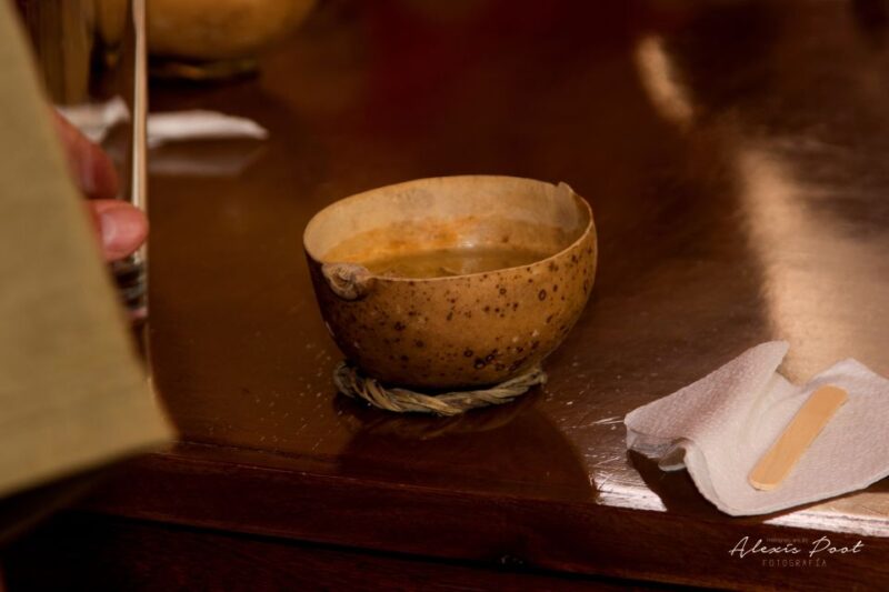 Xkopek, Mayan Bees Tour and Honey Tasting in Valladolid - Key Points