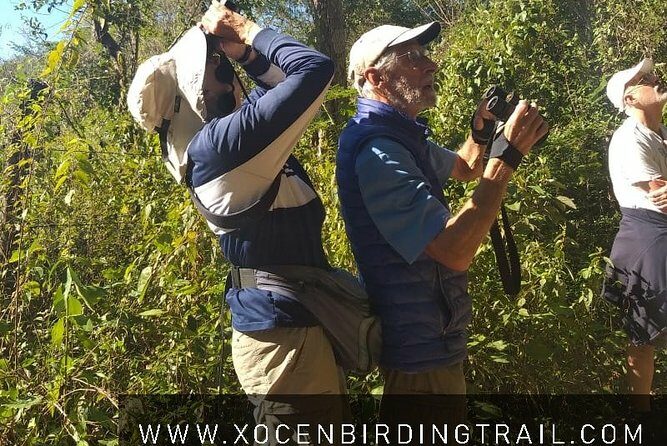 Xocen Birding - Exploring the Itinerary in Detail