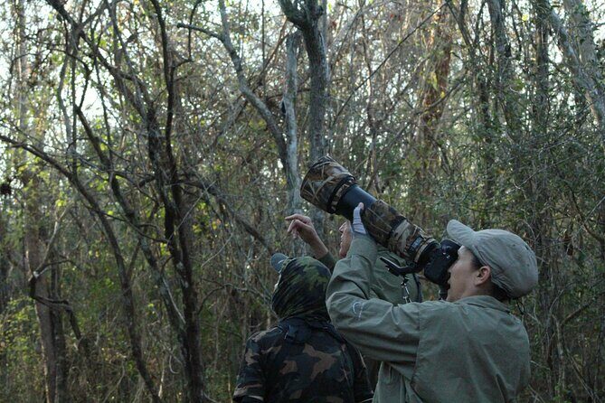 Xocen Birding - The Sum Up