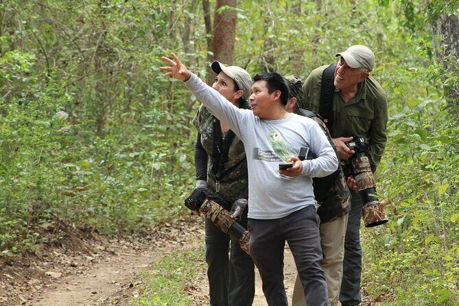 Xocen Birding - FAQ