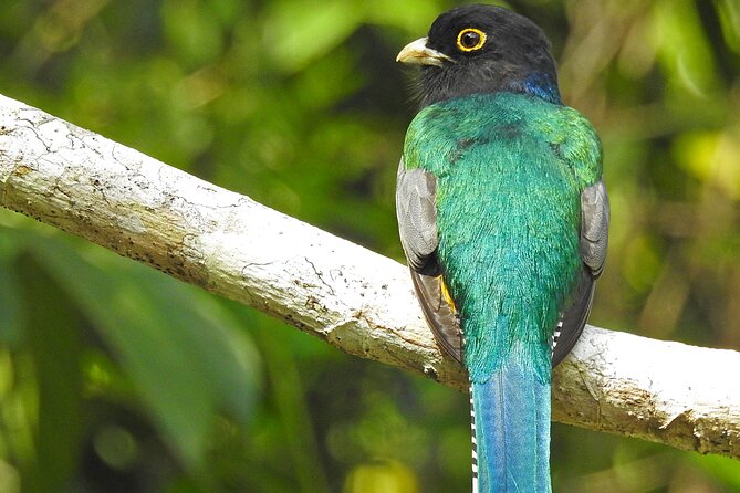 Xocen Birding - Cancellation Policy