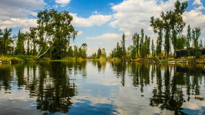 Xochimilco: Boat Ride With a Sommelier and Mezcal Tasting - Suitability and Prohibited Items