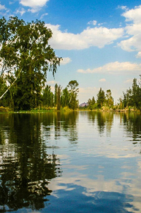 Xochimilco: Boat Ride With a Sommelier and Mezcal Tasting - Mezcal Tasting and Culinary Experience