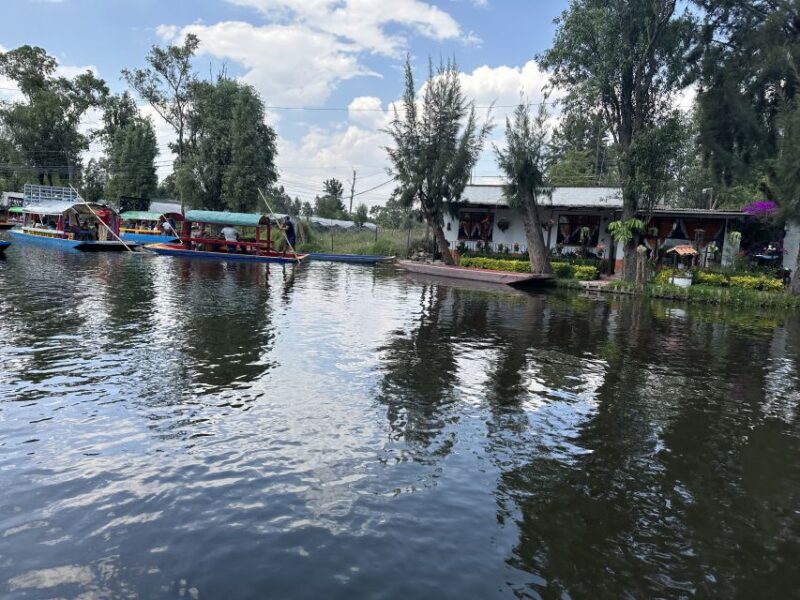 Xochimilco: Boat Tour With Ambystoma Mexicanum Sanctuary - Key Points
