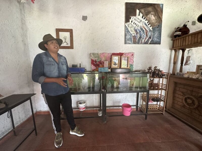 Xochimilco: Boat Tour With Ambystoma Mexicanum Sanctuary - Boat Ride and Axolotl Sanctuary