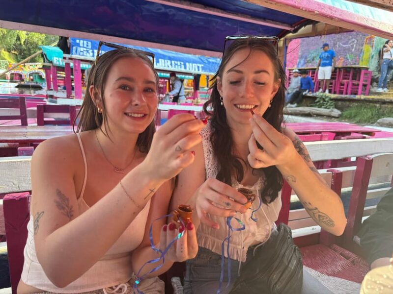 Xochimilco BoatTour Tasting Ancient Edible Insects SuperFood - Itinerary and Activities