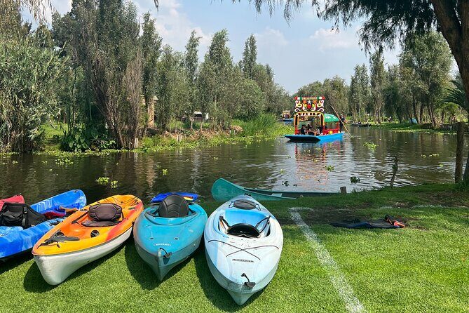 Xochimilco Canals by Kayak - A Closer Look at the Xochimilco Kayak Tour