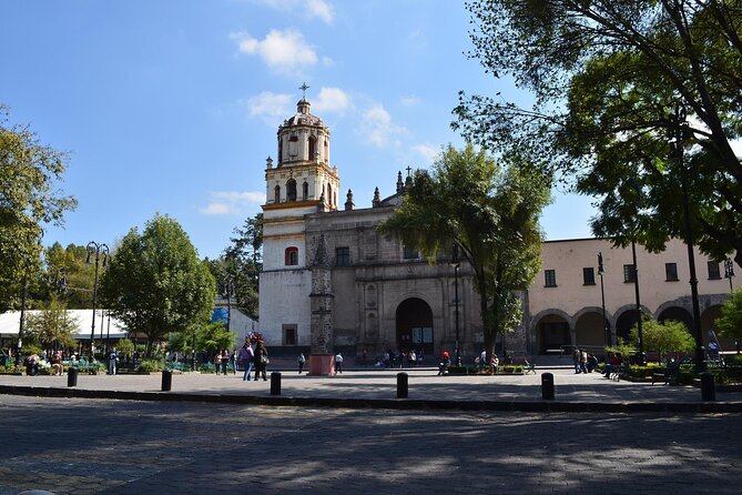 Xochimilco, Coyoacan and Frida Kahlo Museum Tour - Visiting Frida Kahlo Museum