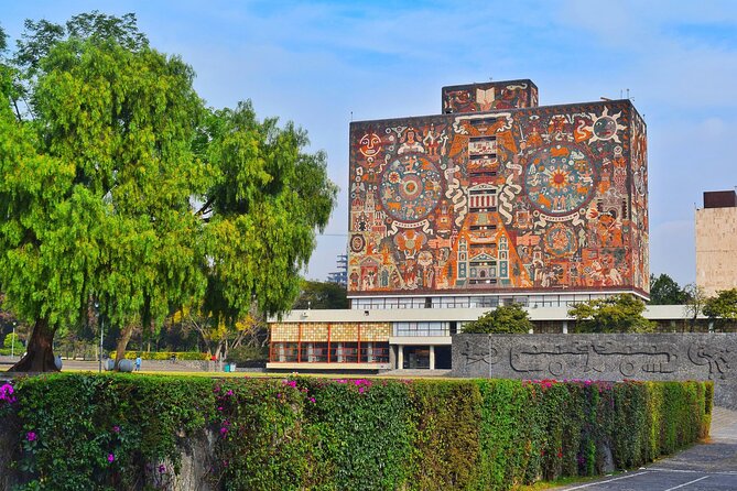Xochimilco, Coyoacan and Frida Kahlo Museum Tour - Tour Experiences and Expectations