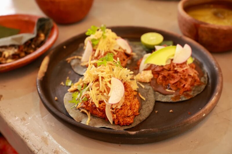Xochimilco + Coyoacán Combo Full-Day Tour - Tour Highlights