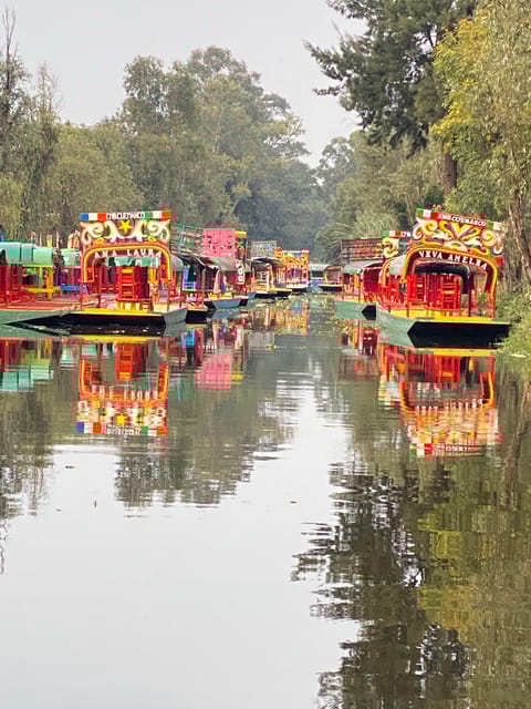Xochimilco: Eco Tour With Food - Scenic Canal Cruise