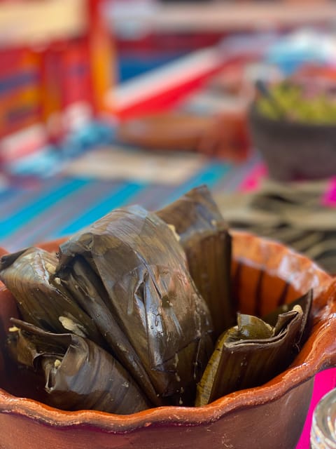 Xochimilco: Eco Tour With Food - Chinampa Visit
