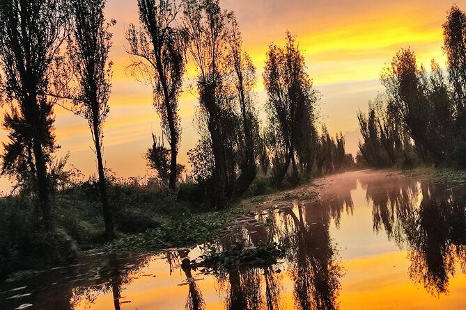 Xochimilco Ecotourism at Dawn in Canoe and Organic Breakfast - Exploring Xochimilco at Dawn: A Quiet Escape into Nature and Culture