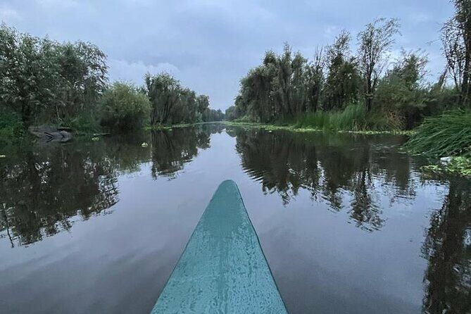 Xochimilco Ecotourism at Dawn in Canoe and Organic Breakfast - Final Words