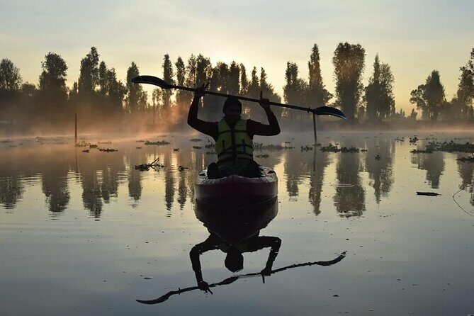 Xochimilco in Kayak - Introduction: Why This Kayak Tour Stands Out