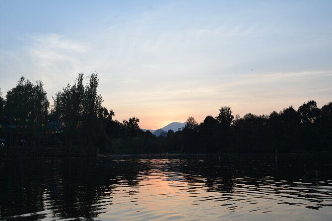 Xochimilco in Kayak - Who Will Love This Tour?