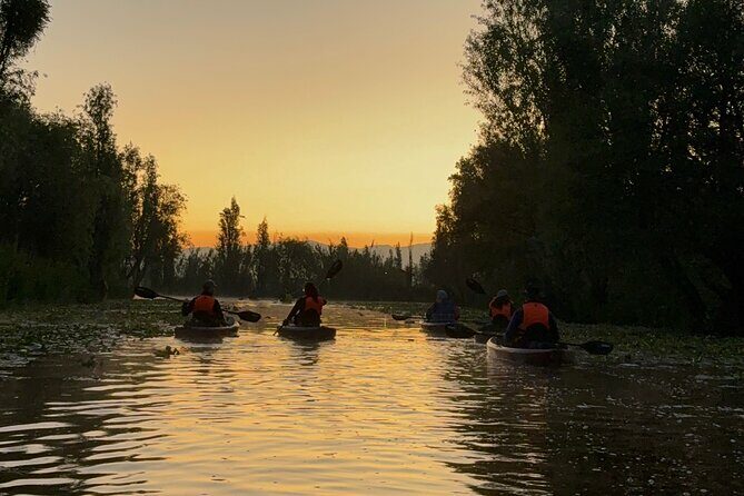 Xochimilco in Kayak - FAQ: Your Practical Questions Answered