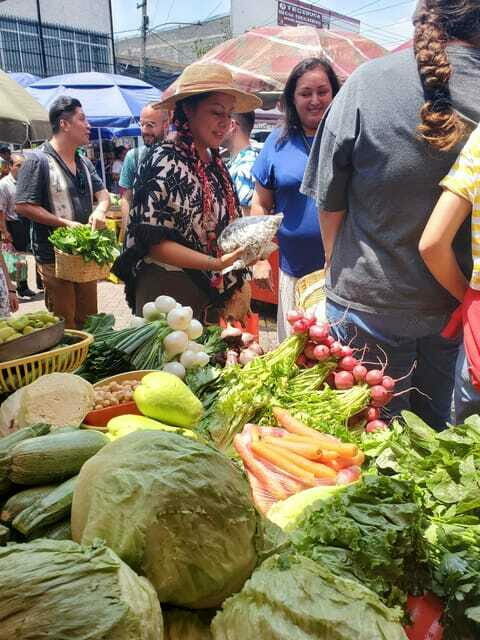 Xochimilco: Market, Food and Nature ¡All included! Tour - Concluding Thoughts