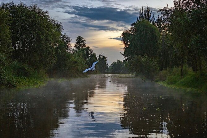 Xochimilco Sunrise From Mexico - Tour Duration and Schedule