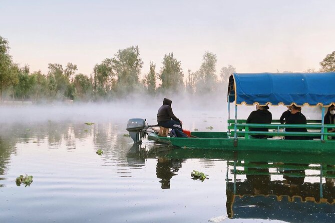 Xochimilco Sunrise From Mexico - Tour Activities and Experiences