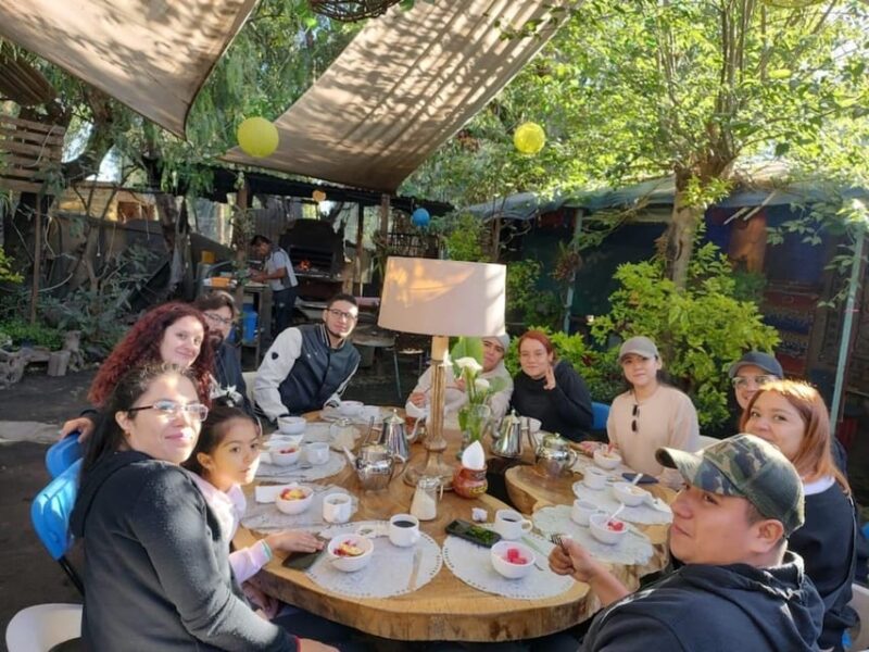 Xochimilco Sunrise Tour: Kayak at the Magic Morning Light - Key Points