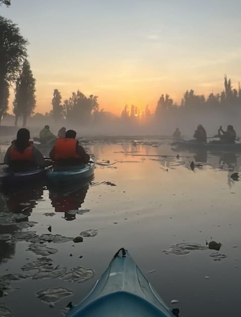 Xochimilco Sunrise Tour: Kayak at the Magic Morning Light - Taking in Xochimilcos Vibrant Atmosphere